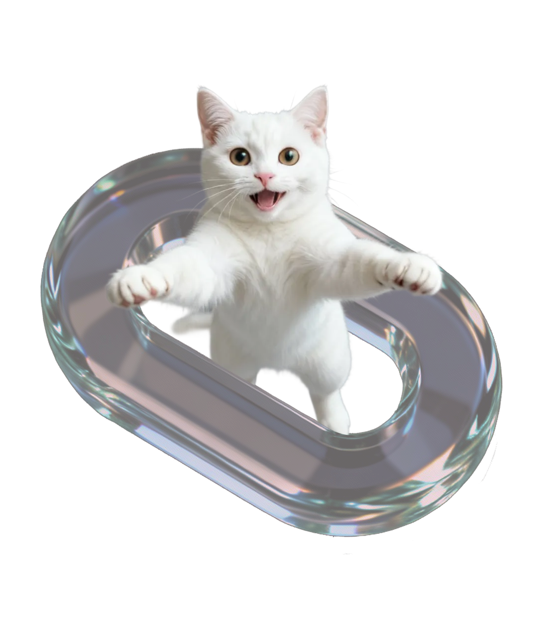 玛氏宠物营养师